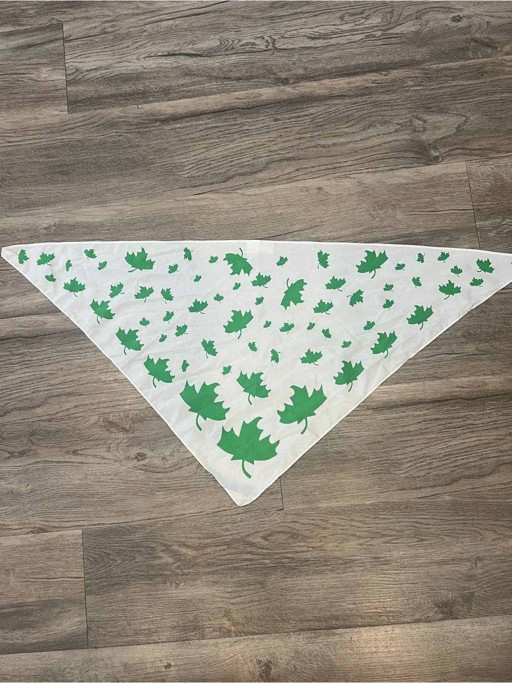 Girl Guides of Canada Pathfinders Green  Triangle Uniform Scarf Guiding Scout - Picture 2 of 6